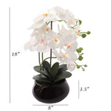 18" White Phalaenopsis Orchid Flowers In Black Ceramic Round Vase, Realistic Silk Flowers & Latex Foliage, Table Floral Arrangements, Home & Office Decor