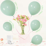 Dusty Green Balloons, Light Green Balloons Different Sizes 18 12 10 5 Inches, Green Balloon Garland Arch For Birthday Baby Shower Graduation Wedding Anniversary Party Decorations(Dustygreen)