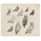 Magical Owl Funny Small Mouse Pads?Home Decor Accessories Office Supplies?Mousepad For Home Office Gaming Working Computers Laptop?Owl Gifts For Owl Lovers,9.5X7.9 Inches
