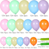 171Pcs Happy Easter Balloon Garland Arch Kit Easter Party Decorations Include Pink Green Balloons,Bunny Carrot Egg Foil Mylar Balloons, Spring Themed Party Supplies
