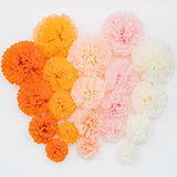 Party Tissue Pom Pom Paper Flower Set, For Birthday Party Baby Shower Wedding Engagement Bachelorette Event Decoration ( Bright Orange Bloom, 20 Piece Set)