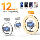 12" Ring Light With 63" Extendable Tripod Stand, Selfie Ringlight With Phone Holder And Wireless Remote, 2-In-1 Dimmable Led Ring Light And Selfie Stick For Makeup, Live Stream, Photography