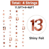 46Ft Rose Gold 13th Birthday Decorations Star/Dot Garlands & Streamers (14M)