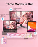 Sky98 Wireless Gasket Mechanical Gaming Keyboard, 96% Hot Swappable Rgb Custom Creamy Keyboard With 5-Layer Sound Padding, Bt/2.4G/Usb-C, Side Printed Keycaps (Pink&White, Violet Switch)