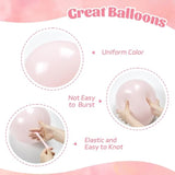 Light Pink Balloon Set 60pcs – Pastel, Nude & Clear 12" Party Décor