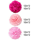Pink Tissue Paper Pom Poms Decorations 10 inch and 12 inch,12 Piece Set for Bachelorette Party or Baby Shower Girls Birthday Party Decor