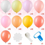 Daisy Flower Balloon Kit: Retro Party Decorations, 27pcs