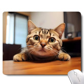 Cute Cat Square Mouse Pads For Wireless Mouse,Small Office Computer Mousepad For Desk Laptop,Non-Slip Rubber Base Mouse Pads For Desk Laptop Computer