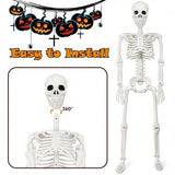 36" Halloween Skeleton Decorations - 3FT Posable Skeleton with Dog & Cat