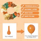 Fall Balloon Arch Kit: Brown, Nude, Green & Gold - Autumn Party Decor