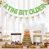 A Tini Bit Older Banner Martini Garland For Girl Women Martini Bow Themed Birthday Decorations A Tiny Bit Older Birthday Martinis Bar Party Decor Green Pink