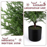 2Ft Artificial Norfolk Pine Christmas Tree – Tabletop Faux Tree Unlit/Prelit With 50 Led Lights & 8-Function Battery Box, Pre-Assembled Holiday Decor For Home Or Office (Prelit-2Ft-2Pack)