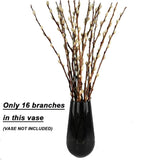 30 Branches Pussy Willow Branches For Vases 23 Inches Natural Dried Pussy Willows Real Dried Flowers 2 Years Long Lasting For Home Decoration