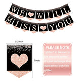 Rose Gold Farewell Party Decor Kit: 'We'll Miss You' Banner & Swirls