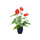 16.1'' Artificial Potted Flowers Anthurium Artificial Plant Bonsai Fake Tropical Greenery Plant,For Indoor Outside Home Garden Office Deck Porch Wedding Decorations,Red