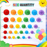 48 Pcs Tissue Paper Pom Poms 14''/ 12''/ 10''/ 8''/ 6'' Tissue Paper Flowers Decorations for Wedding Birthday Bridal Shower Baby Shower Decor (Rainbow)