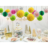 Party Decorations Kit Hanging Paper Fan Tissue Pom Poms Flowers Honeycomb Balls Paper Lantern For Trial Baby Shower First Birthday Bridal Shower Summer Decorations Hawaiian Luau Beach Supplies