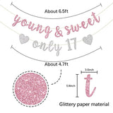 Young & Sweet Only 17 Banner - Happy 17Th Birthday Party Decor For Girls - Cheers To 17 Years Party Decorations Supplies, Pink & Silver Glitter