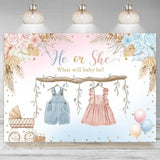 Boho Gender Reveal Backdrop He or She Sign Banner Blue and Pink Cute Baby Clothes Gender Reveal Party Decorations Pampas Grass Floral Baby Shower Party Background Supplies 7x5ft