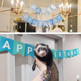 Happy Birthday Banner With Shiny Gold Letters, Swallowtail Design Hanging Signs Party Decorations (Tri-Color Blue)