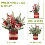 Small Winter Buffalo Check Plaid Christmas Tree, Artificial Mini Tabletop Christmas Tree Decorations With Xmas Ornaments, For Home Party Thankgivings Decor, Red/Black-Indoor