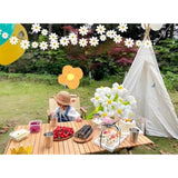 4Pack Daisy Banner Garland Groovy Boho Flower Hanging Party Decorations