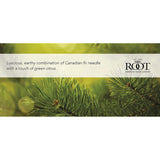 Root Candles Holiday Scented Candles Honeycomb Veriglass Premium Handcrafted Beeswax Blend Candle, Large, Winter Balsam