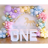 Rainbow Balloon Garland Arch Kit 171Pcs Latex Balloon Pastel Balloon G