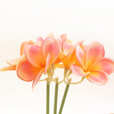 3 Pcs Artificial Plumeria Flowers,Real Touch Lifelike Plumeria Frangipani 9 Fake Flower Bouquets With Stems For Home Office Wedding Engagement Party Decoration Diy Craft Gift (Pink +Orange)