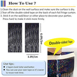 2 Pack Iridescent Black Foil Fringe Curtains Halloween Backdrop Party Decorations