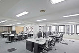 6 Pack F54T5 HO 54W 46 Inch T5 Fluorescent Tube Light Bulbs 4100K Cool White G5 Base