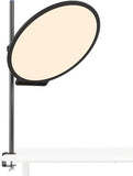60W Bi Color LED Video Light 22 Inch Circular Edge Lit Panel with APP Control Desk Clamp Stand for Streaming and Office