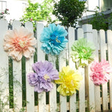Pastel Paper Flowers 6Pcs Large Tissue Paper Flowers Decoration For Wall 12 Inch Giant Crepe Flowers For Spring Garden Backdrop Pastel Birthday Easter Wedding Party Bulletin Board