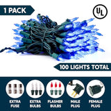 Blue Led Christmas String Lights,100 Count Mini Fairy Light With 26.4 Ft Green Wire,Lighting Decor For Indoor Outdoor Pa