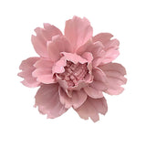 Peony Ceramic Flower Wall Décor Artificial 3D Flower Wall Art For Living Room Home Hallway Bedroom Kitchen Farmhouse Bathroom Dining Room, Pink, 3.54 Inch