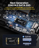 128Gb M.2 2242 Sata Ssd, Compact Internal Solid State Drive With Tlc Nand Flash, Up To 460Mb/S Read & 420Mb/S Write Speeds, Compatible With Ultra-Thin Laptops, And Mini Pcs - Y20M-2242