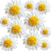 Daisy Tissue Paper Pom Poms Party Decorations White Yellow Flowers Wall Hanging 1St Birthday Bridal Baby Shower Wedding Classroom Décor 12" 8" Pack Of 10