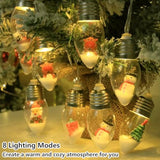 Christmas Lights Indoor 6.8Ft Christmas Snow Globe Lights 10 Led Fairy Lights With Remote Timer, Battery Powered String