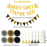Holy You'Re Old Banner Decorations Kit,20Pcs,Gold Funny Adult Birthday Party Decor Sign For 30Th-40Th-50H-60Th-70Th-80Th-90Th Birthday,Including Holy You'Re Old Banner, 12Pcs Swirl, 6Pcs Poms