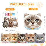 96 Pcs Cat Birthday Decorations Kitten Party Disposable Tableware With Party Plates Paper Napkins Dinnerware For Cats Themed Birthday Parties Supplies Serves 48 Guests