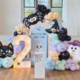 166Pc Halloween Balloon Arch Kit – Pastel Rainbow & Black with Witch, Ghost and Cat