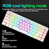 65% Wired Gaming Mechanical Keyboard and Mouse Combo, Mini 68 Keys, RGB Backlight, Lightweight RGB 6400DPI Honeycomb Optical Mouse,Mouse Pad Compatible with PS4,Xbox,PC,Laptop,MAC (White/Blue Switch)