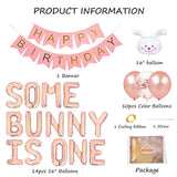 Some Bunny Is One First Birthday Party Supplies, Some Bunny Is One Bal