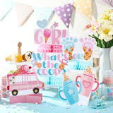 12 Pcs Ice Cream Gender Revel Decoration Honeycomb Centerpiece Whats the Scoop Gender Reveal Decorations Pink Blue He or She Table Topper Table Decor or Baby Shower Birthday Party Favors