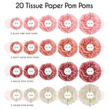 20pcs Tissue Paper Pom Poms in Blush, Rose, Mauve & Cream for Party Decor