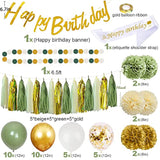 Sage Green Birthday Party Decorations With Happy Birthday Banner,Gold Fringe Curtain,Circle Dots Garland,Tissue Pompoms,Paper Tassels Garland For Girls Women For Party Decor (Sage Green)