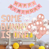 Some Bunny Is One First Birthday Party Supplies, Some Bunny Is One Bal