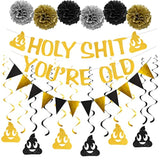 Holy You'Re Old Banner Decorations Kit,20Pcs,Gold Funny Adult Birthday Party Decor Sign For 30Th-40Th-50H-60Th-70Th-80Th-90Th Birthday,Including Holy You'Re Old Banner, 12Pcs Swirl, 6Pcs Poms