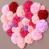 12 Pcs Rainbow Tissue Paper Pom Poms for Birthday, Wedding, Baby Shower Decorations