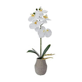 Mikasa Artificial Orchid in Pot, Real Touch Phalaenopsis Orchid, Embossed Weave Cement Pot, 16-Inch Single Branch, White/Yellow